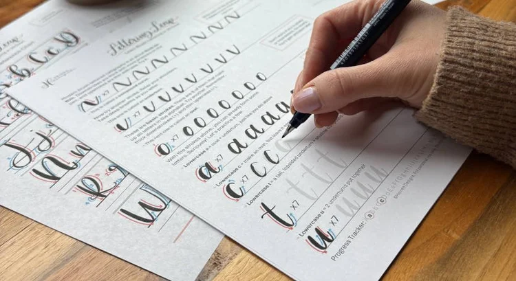 Calligraphy D: Uppercase, Lowercase, Strokes & Practice