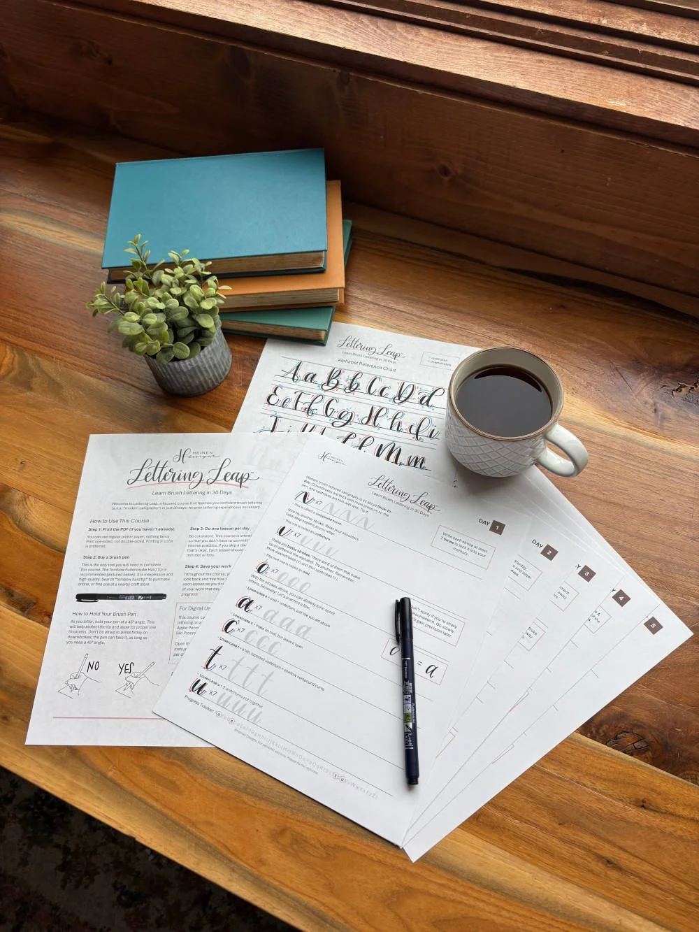 Calligraphy for Starters