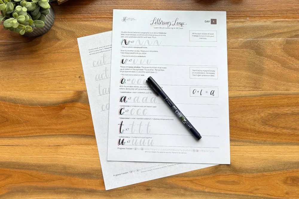 Short Calligraphy Course Lettering Leap