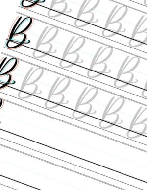 Calligraphy Book Letter B Page