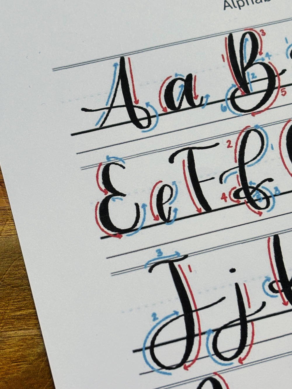 Letter E in Calligraphy