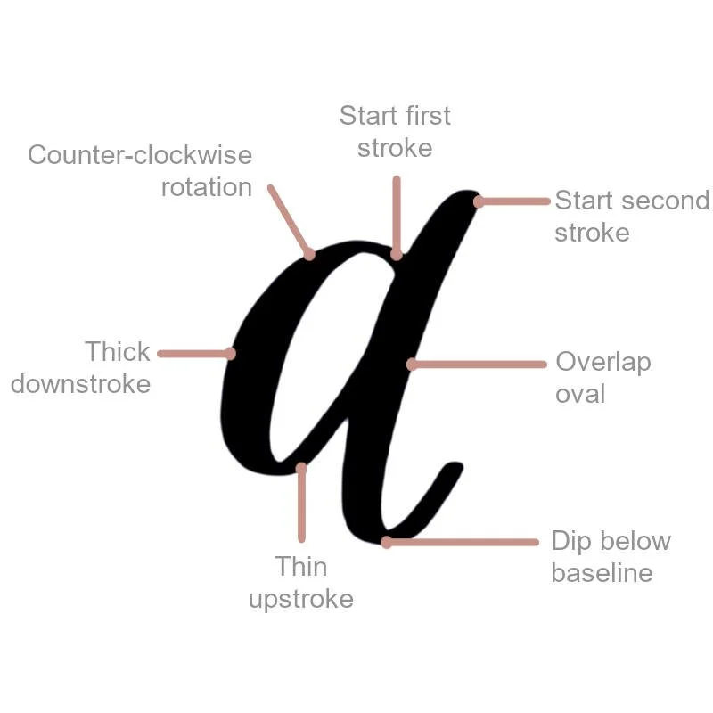 Lowercase Brush-Lettered a Diagram