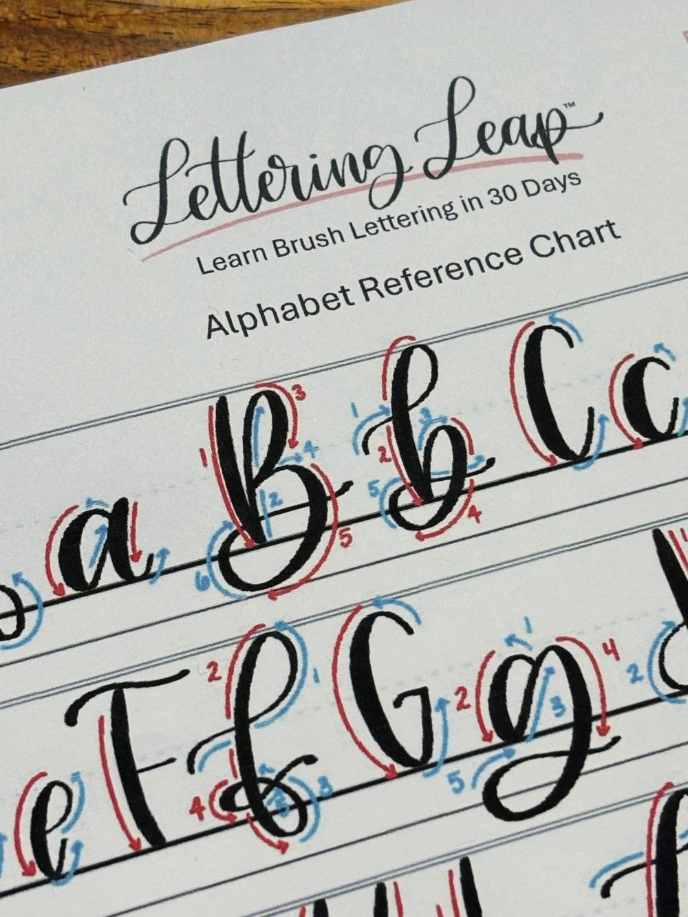 Letter B in Calligraphy