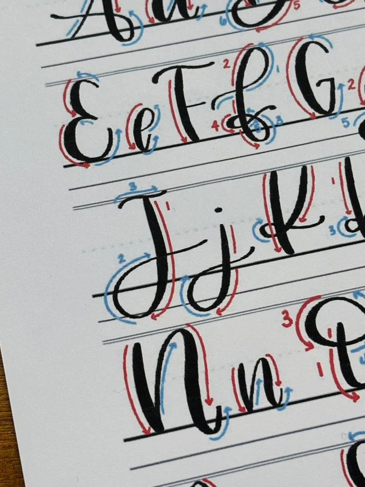 Calligraphy J: Uppercase, Lowercase, Strokes & Practice