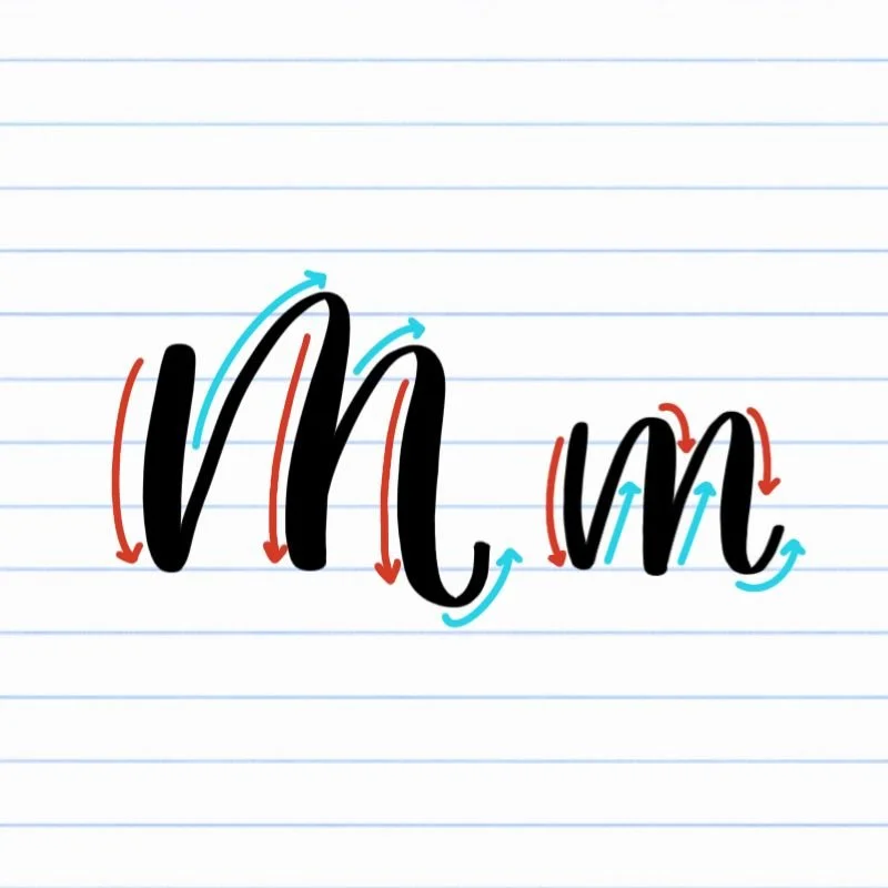 Calligraphy M: Uppercase, Lowercase, Strokes & Practice