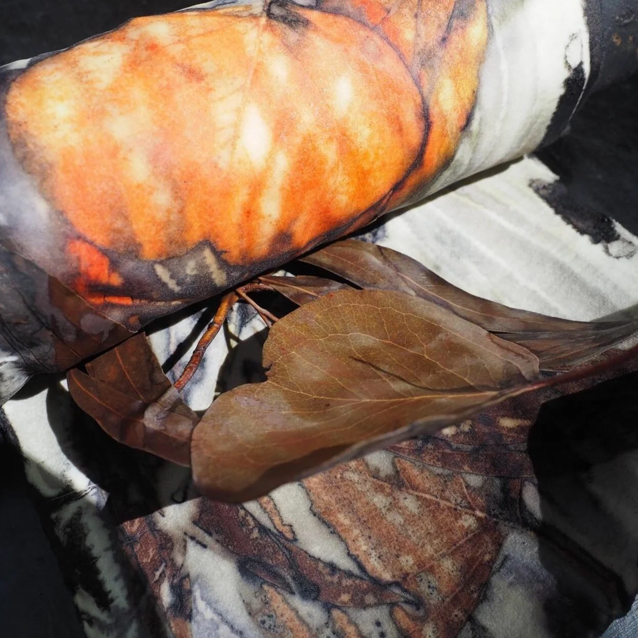 Close-up of an orange pumpkin with dry brown leaves around it, placed on a fabric surface.