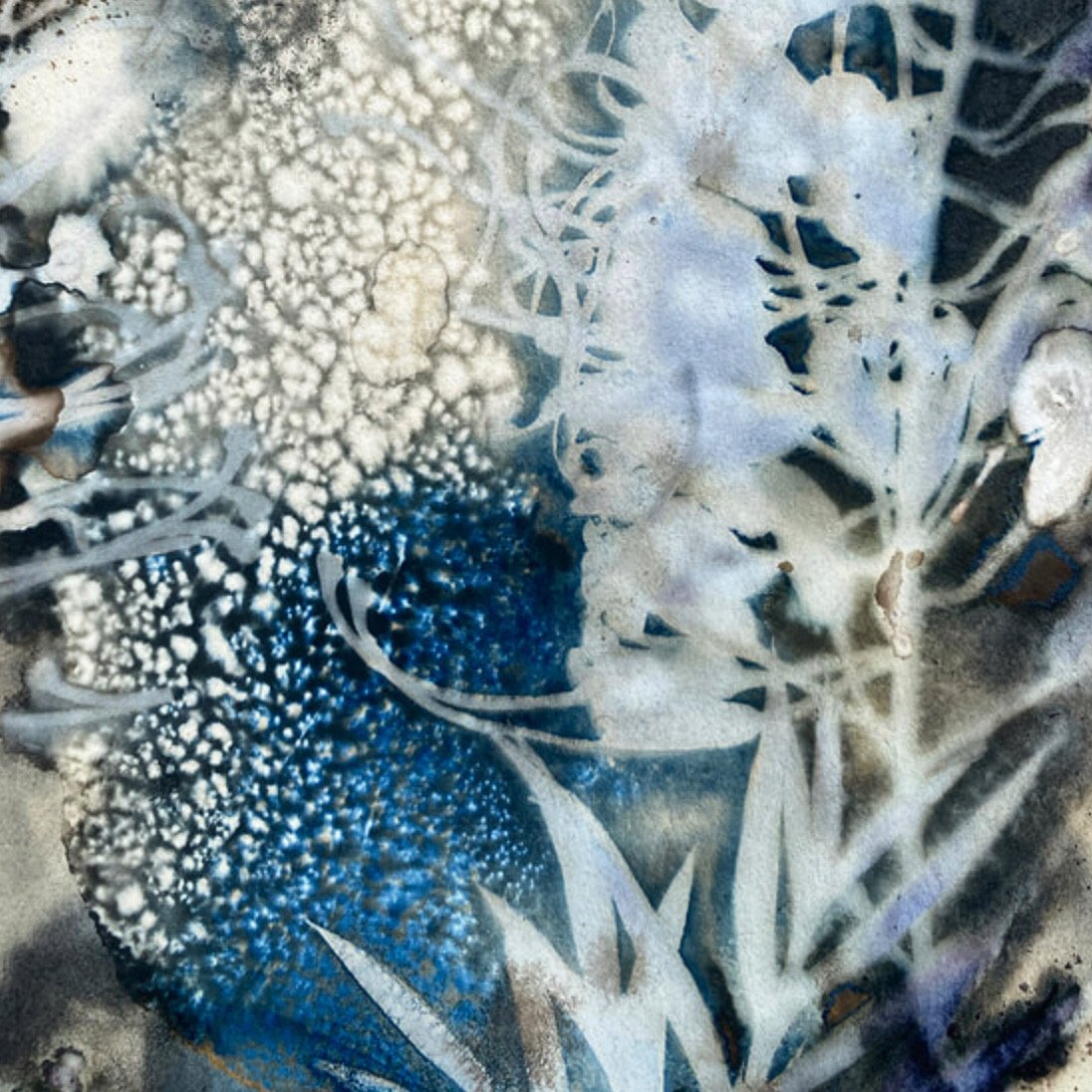 Colourful Cyanotype