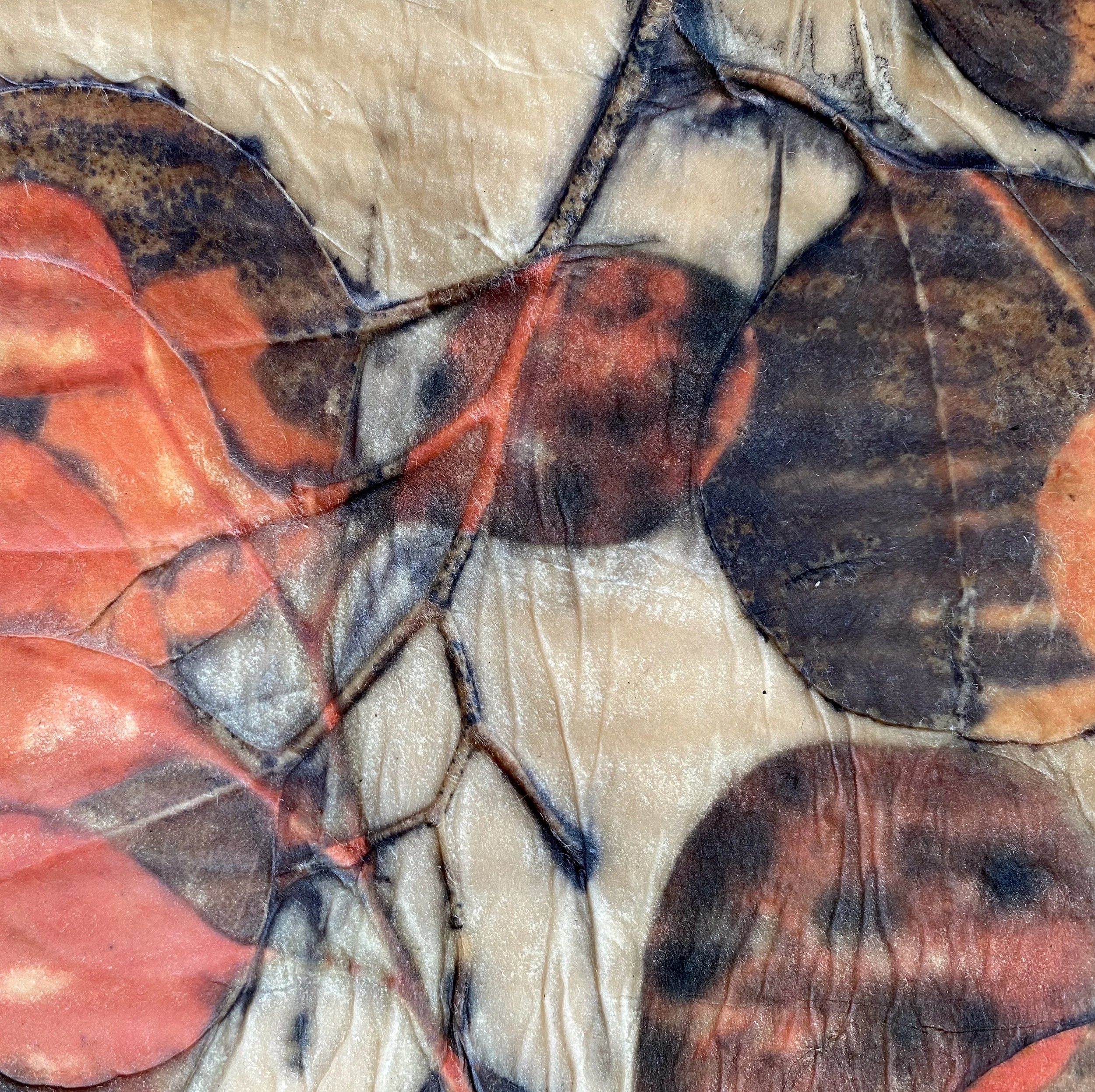 Close-up of dried and overlapping autumn leaves in shades of red, orange, brown, black, and beige.