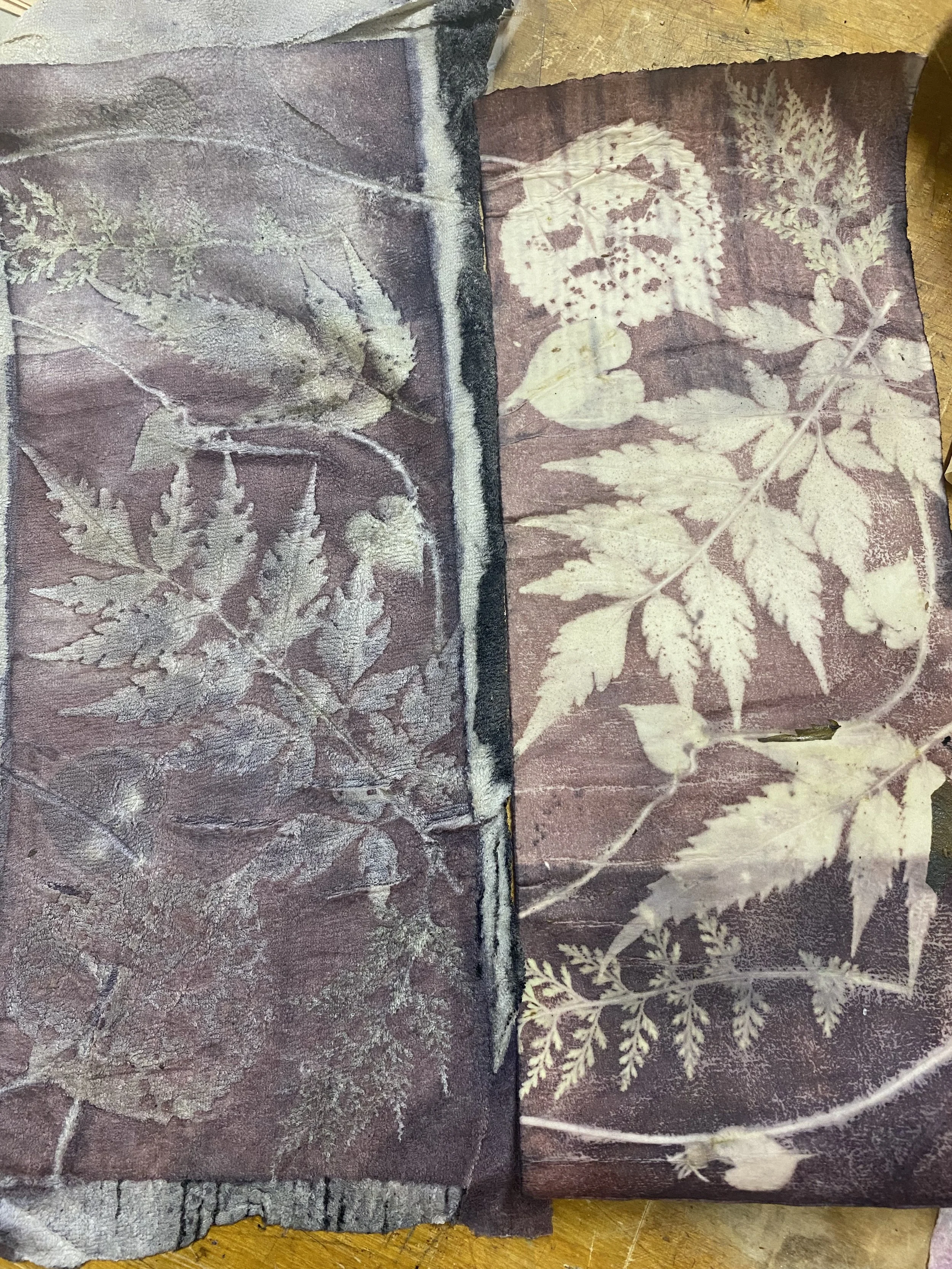 Two pages of plant leaves and flower patterns pressed into dried plant material, one page showing a fern leaf and the other with a flower and leaf impression.