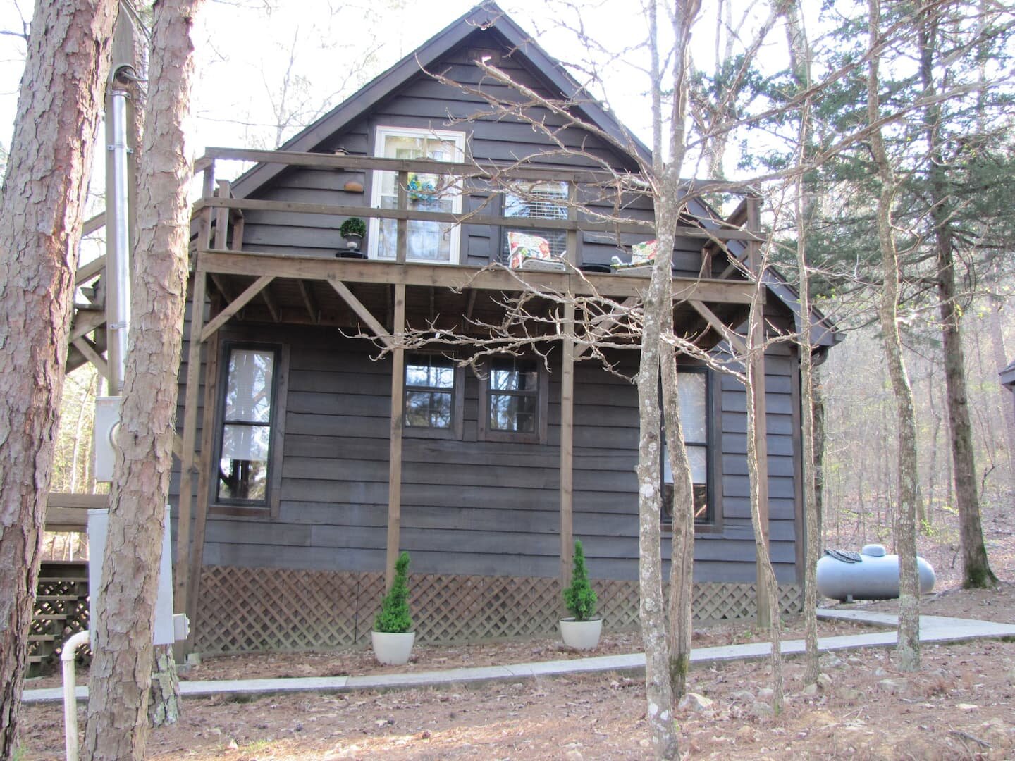 Tree Tops Cabin Studio.jpeg