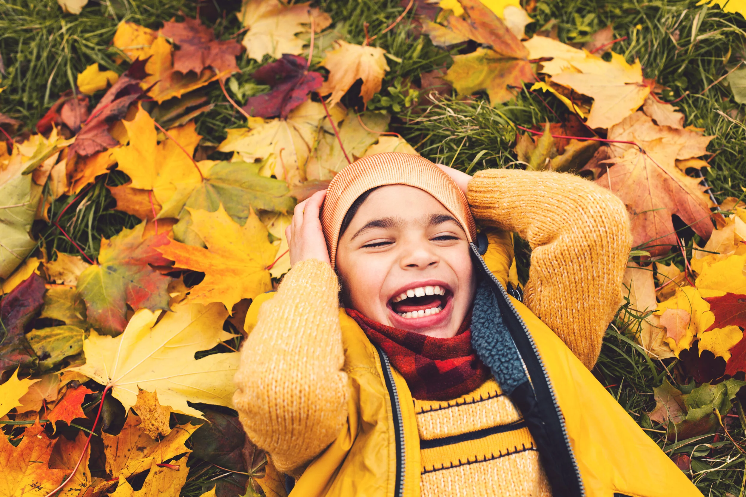 AdobeStock_219908959.jpeg