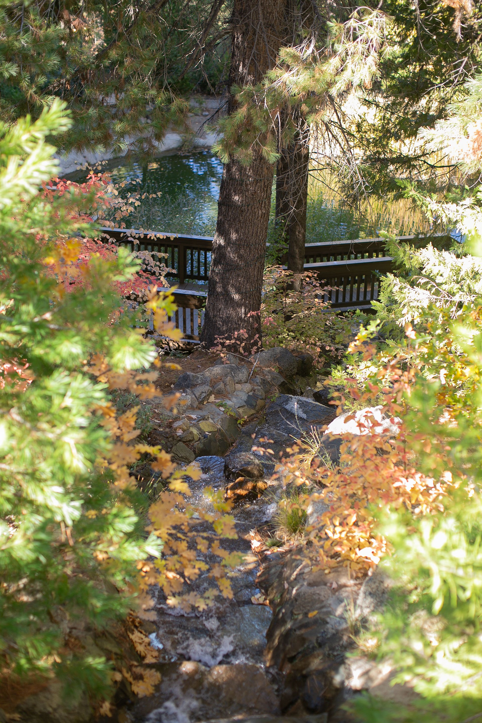 Lodge at Two Moons