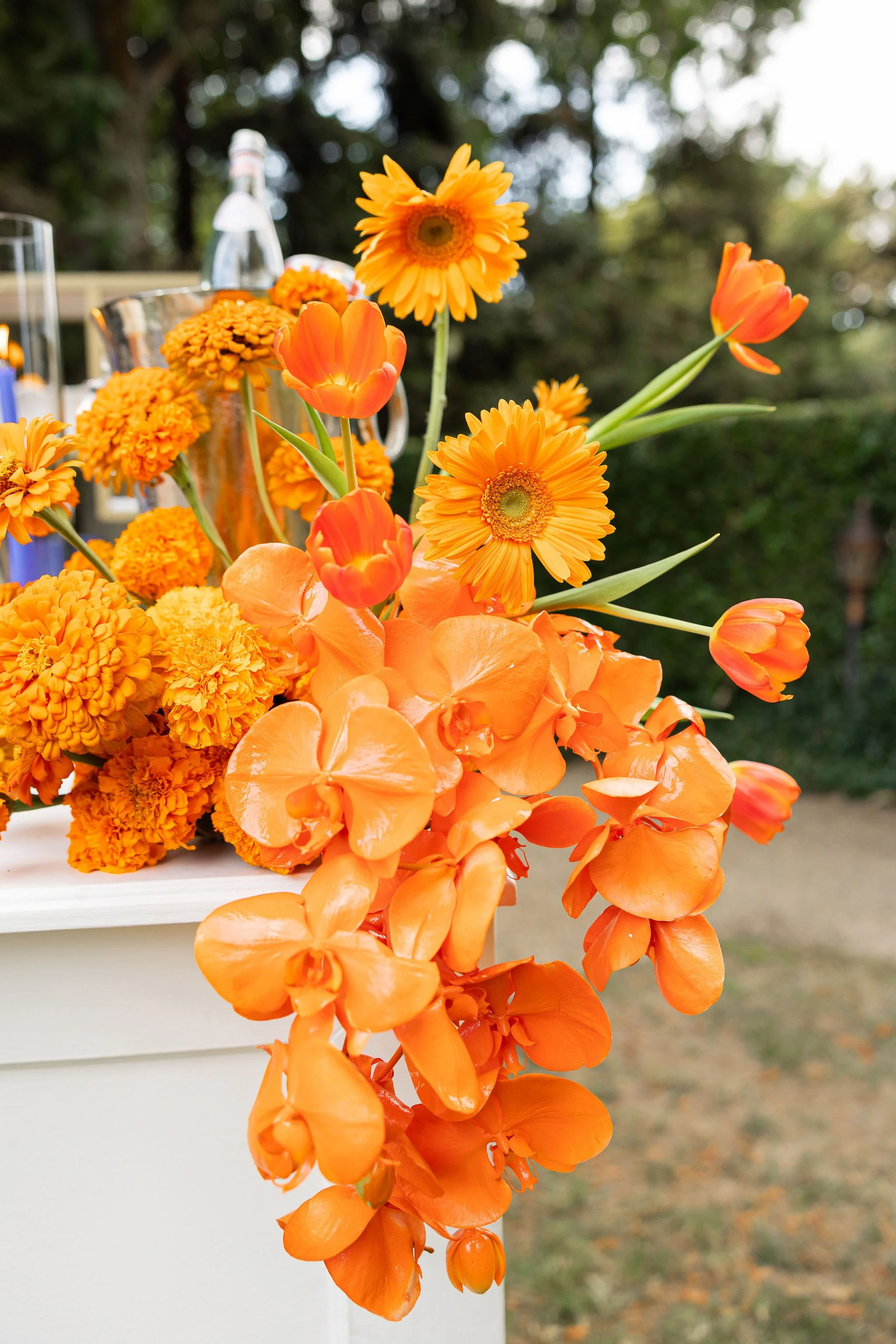 SummerShootwithShelley-93.jpg