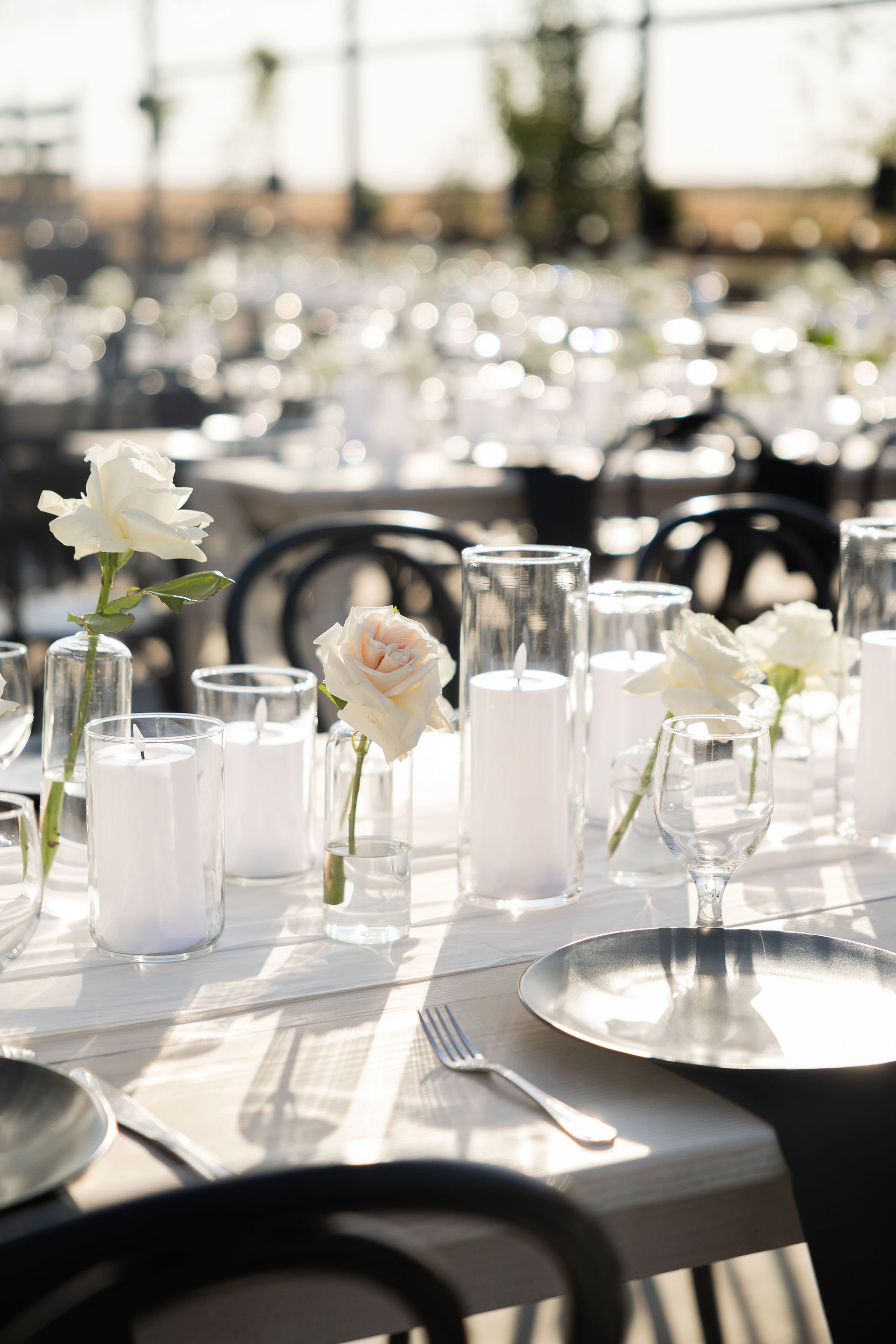 Rachel&Mason'sWedding-1067.jpg