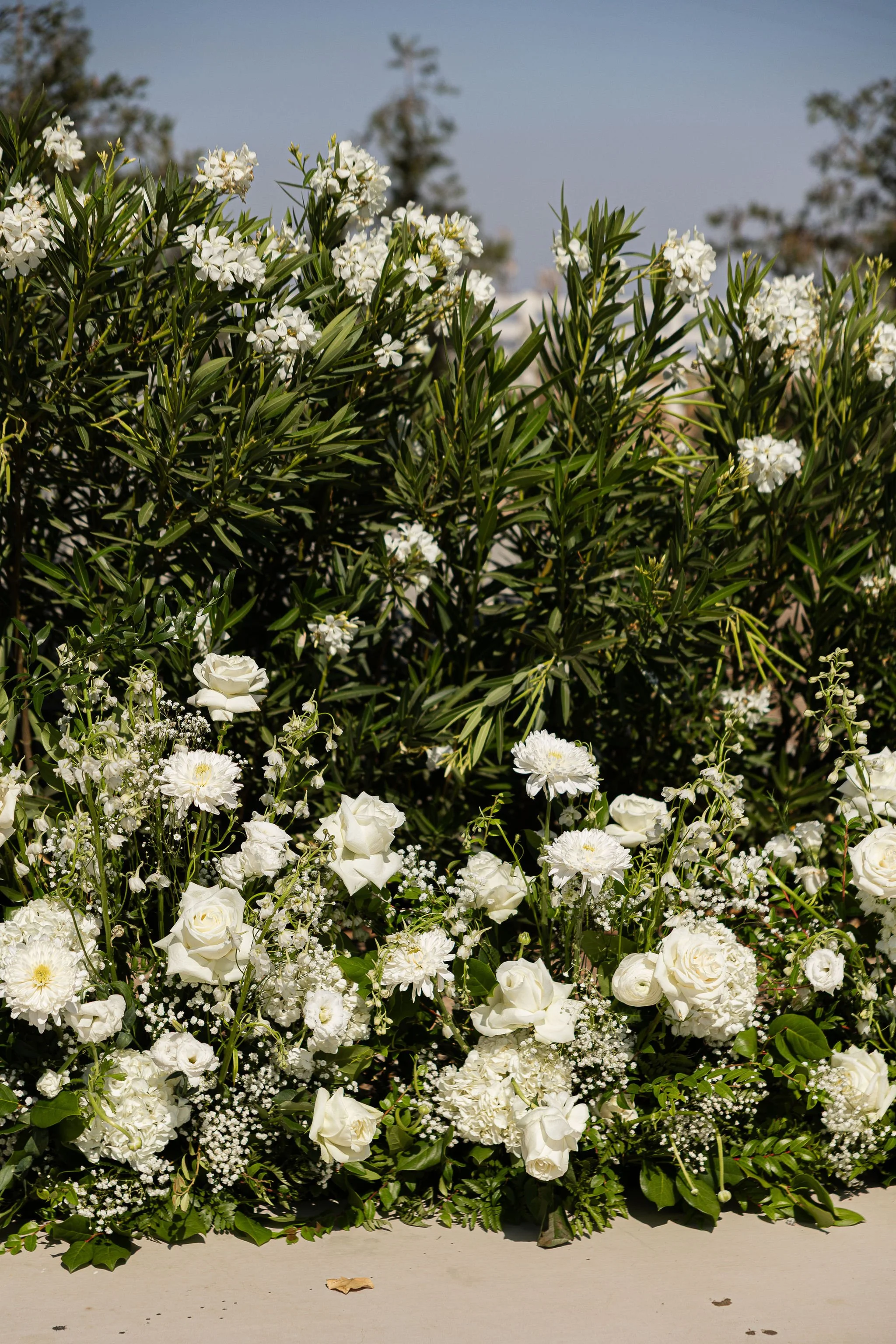 Rachel&Mason'sWedding-277.jpg