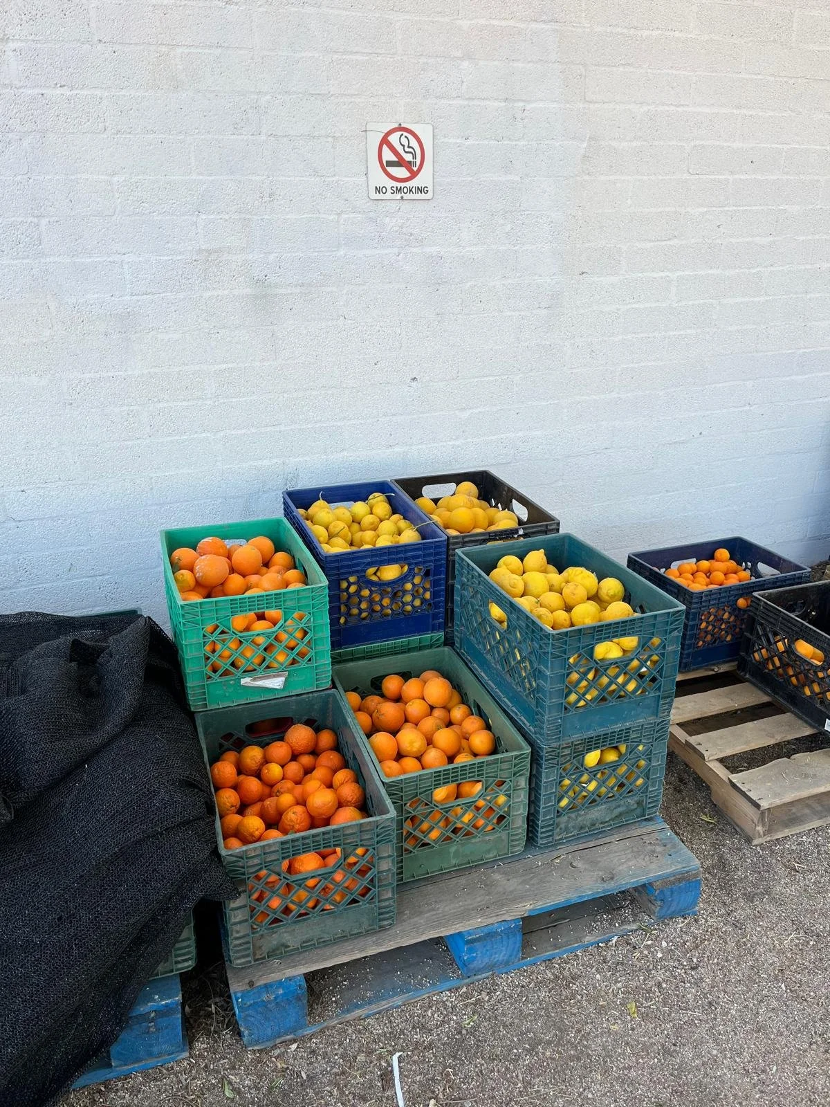 Winter Harvest (9-12)