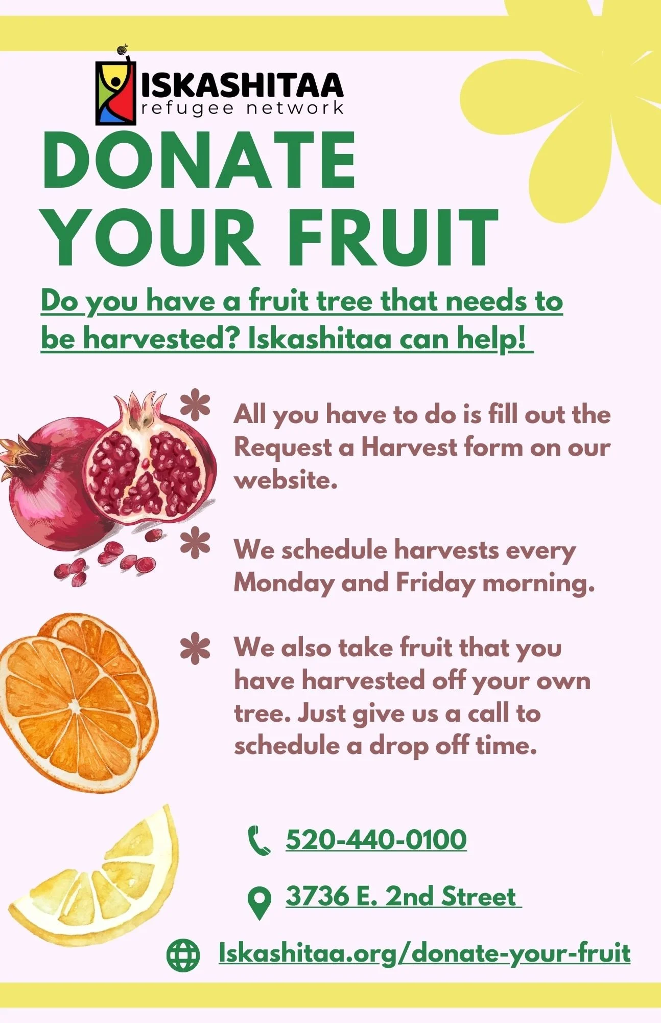 Donate Your Fruit Flyer 2024 (2).jpg