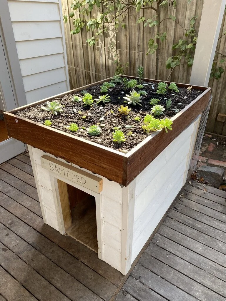 Insulated Dog House With Rooftop Garden