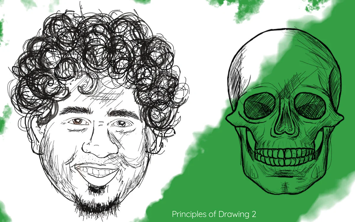 SkullPotraitStudies_PurvaDolas_ExpressiveLine_front view.jpg