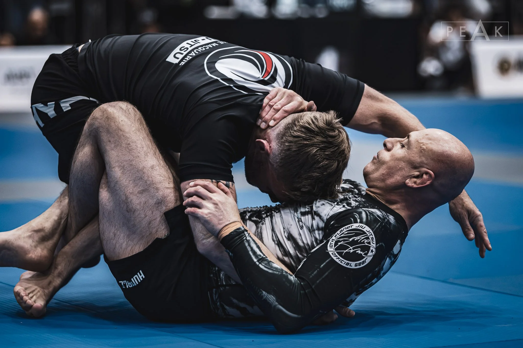 077A6599.jpg