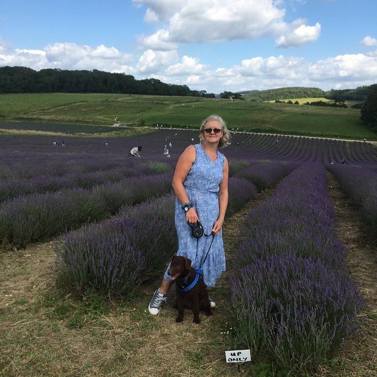 Day trip with @andrewwatts81 &amp; Otto 🐶 to @lordingtonlavenderfarm 
for a stroll through their #maillettelavender field 
Lovely tea,cake &amp; ice cream &amp; informative chat from owner Andrew. 
💜🌱🐶🌱☀️🌱👫🌱💜
#lavenderfarm #lavender #daytrip