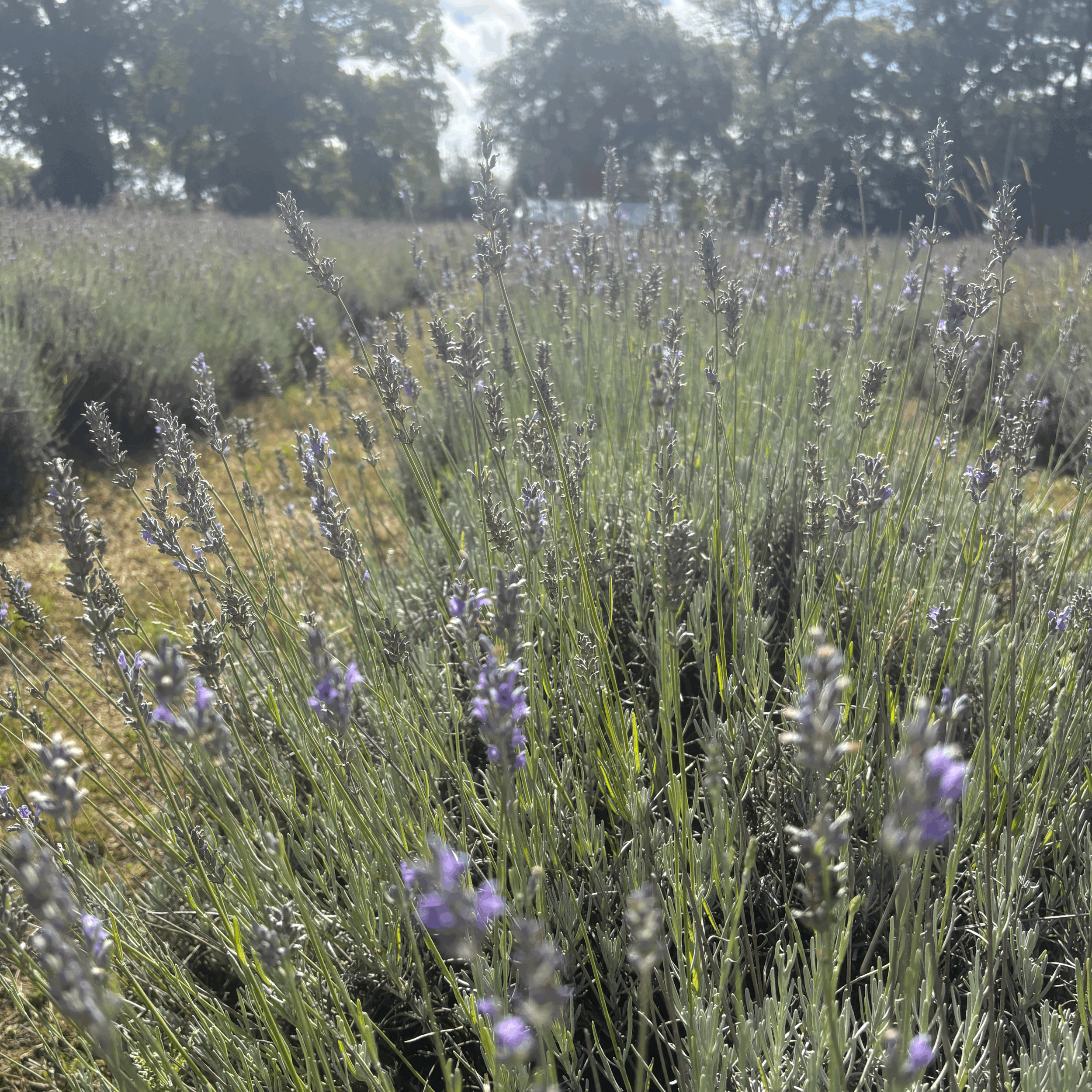 September - Events