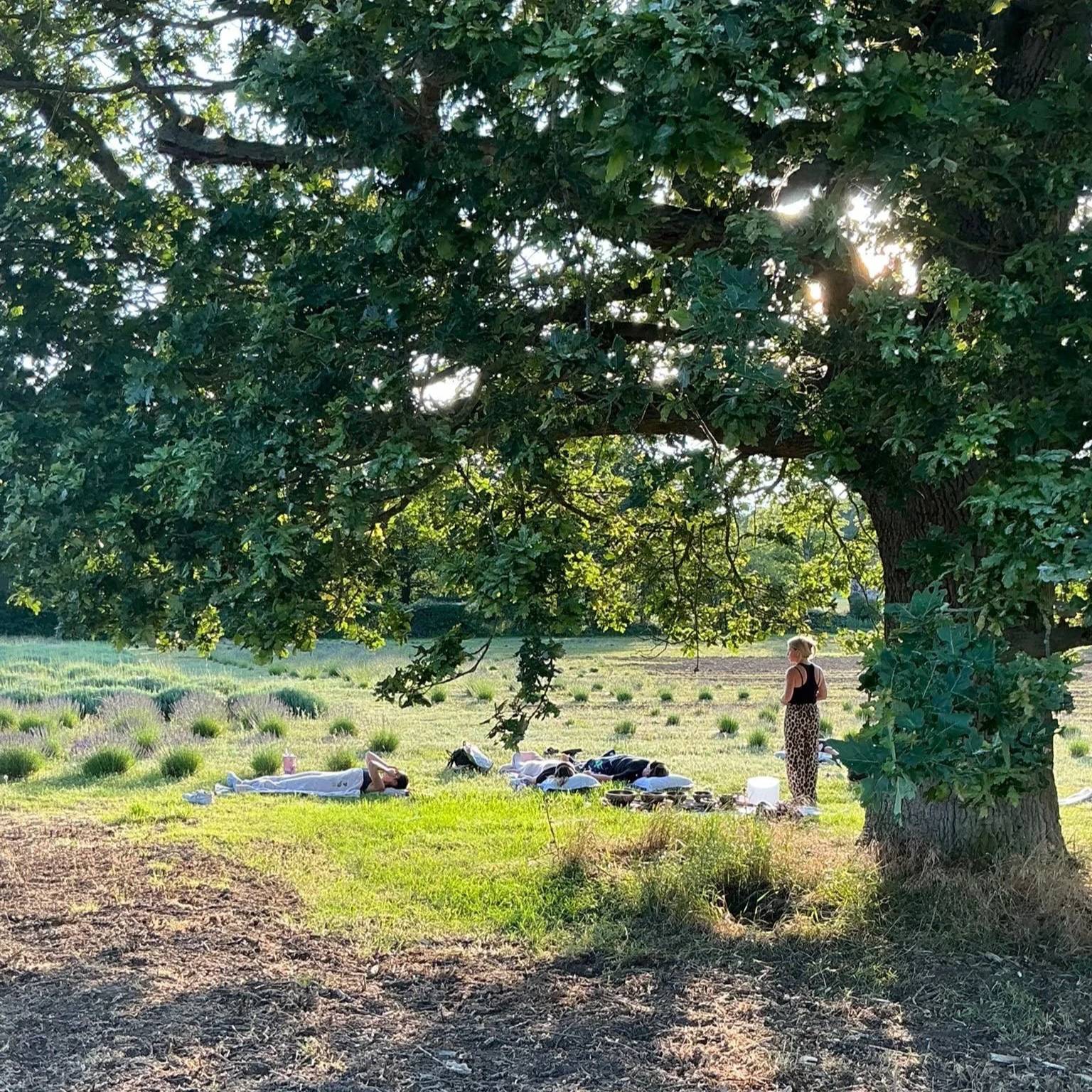 Nicole+tree.png