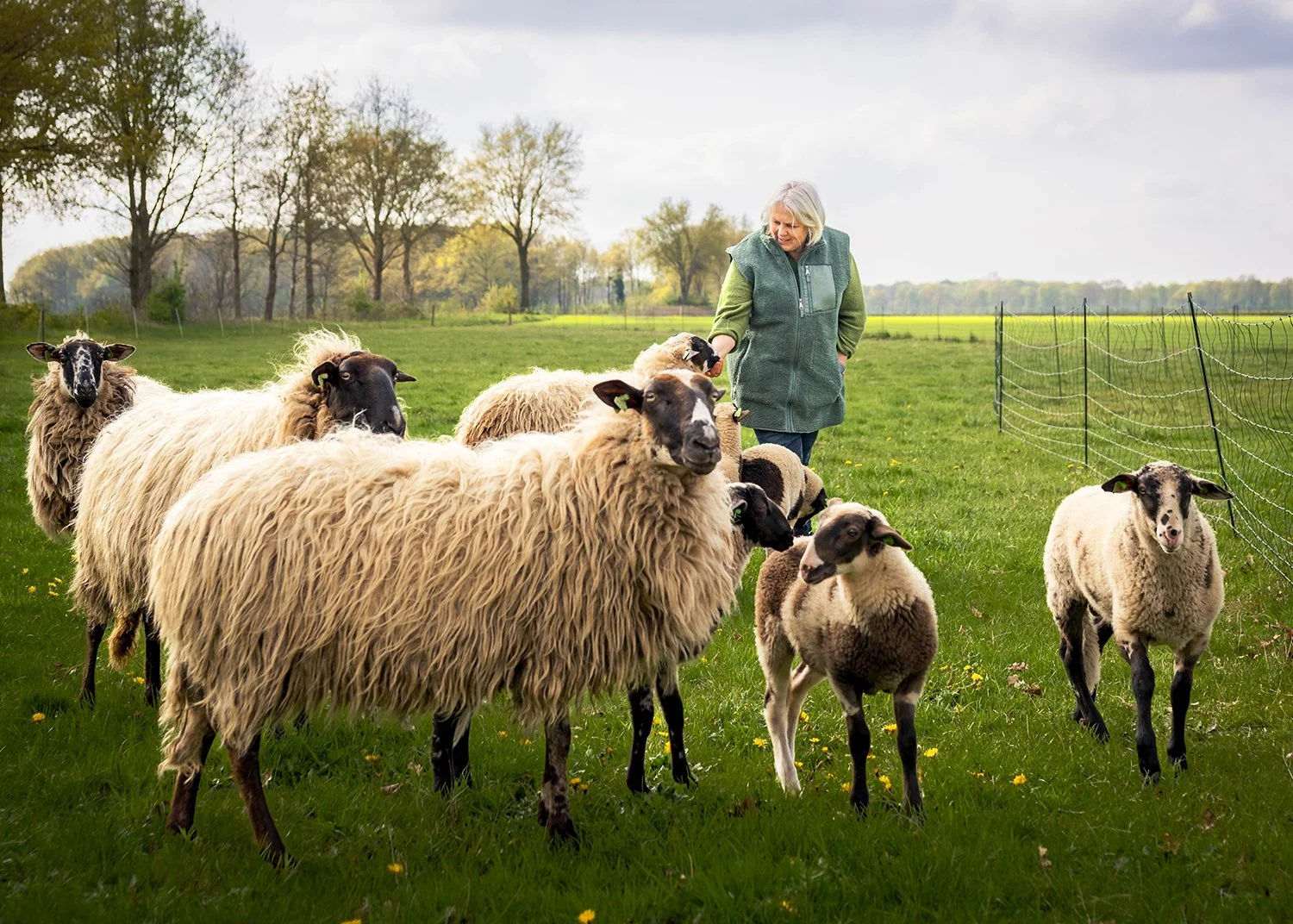 Fotografie - Metha Eikens Fotoshoot   Schapen lammetjes Gea0154 kopie.jpg