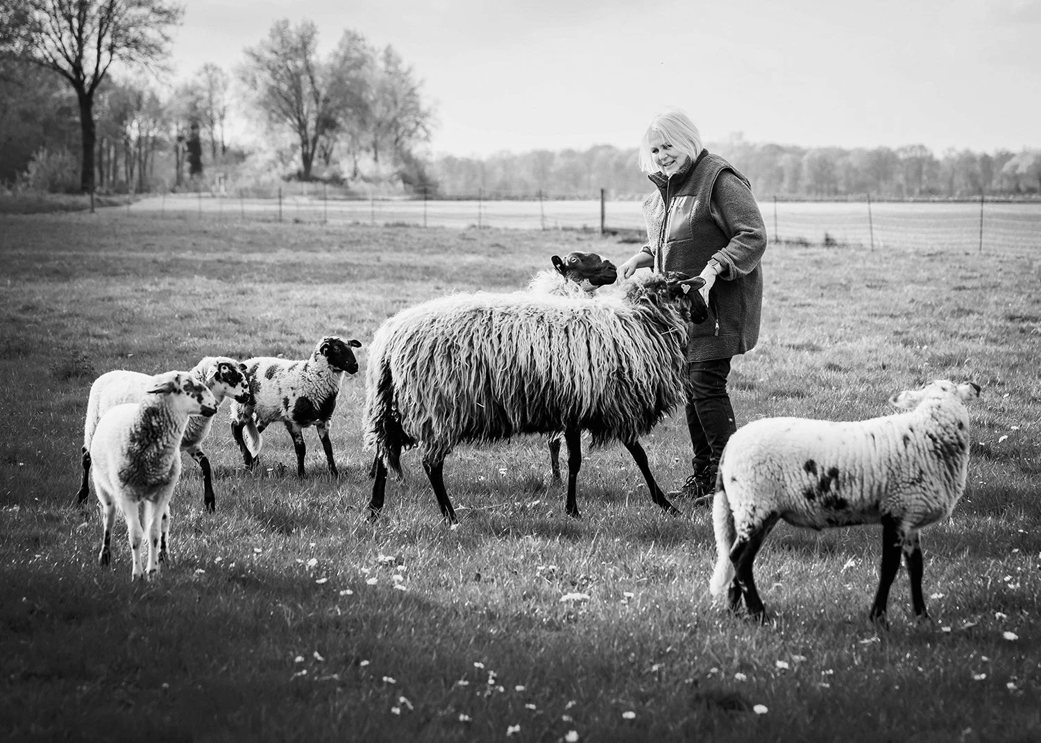 Fotografie - Metha Eikens Fotoshoot   Schapen lammetjes Gea0145 kopie.jpg