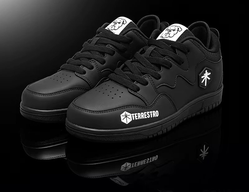THE FRANKIE HILL Pro Model Signature Shoe