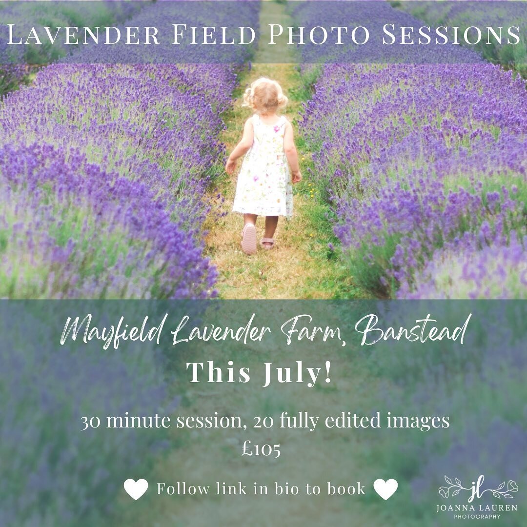 This year I&rsquo;m SO excited to be offering Lavender Field Mini Sessions! 

Perfect for families, maternity sessions and engagement photo shoots! 

Various dates in July available - click on link in bio to check out the details and to book 🤍 

#la