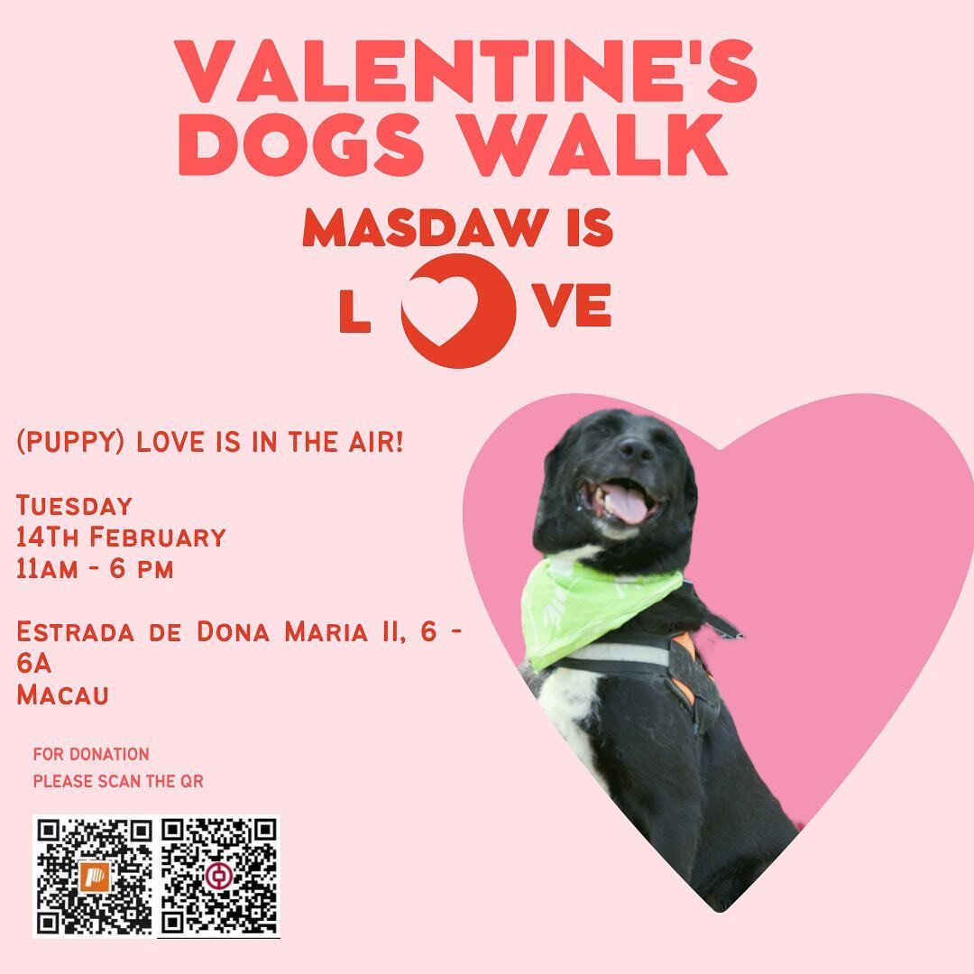 Share some love and valentine's and come for dogs walk . Bring along your friend and having fun filled day wit the dogs .#masdawislove #volunteer#macau#dogs#rescuedogsofinstagram