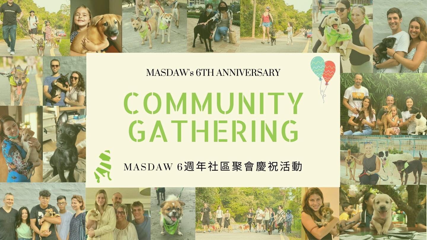 Community Gathering