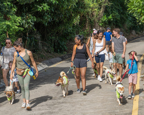 Community Walks