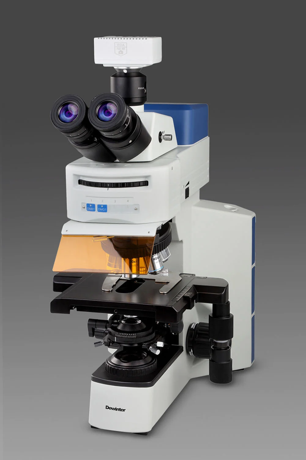 Fl Microscope Fluorescence Microscopes — Microscope | Software | Dewinter