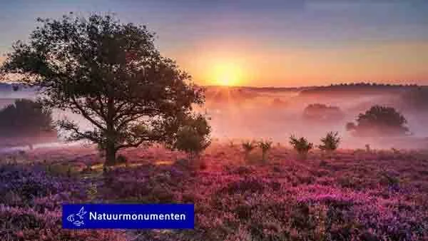 Natuurmonumenten | impact merkpositionering door BR-ND People