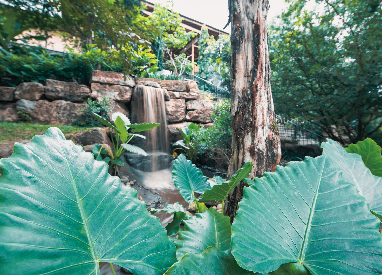 costa rica - venue (6).png