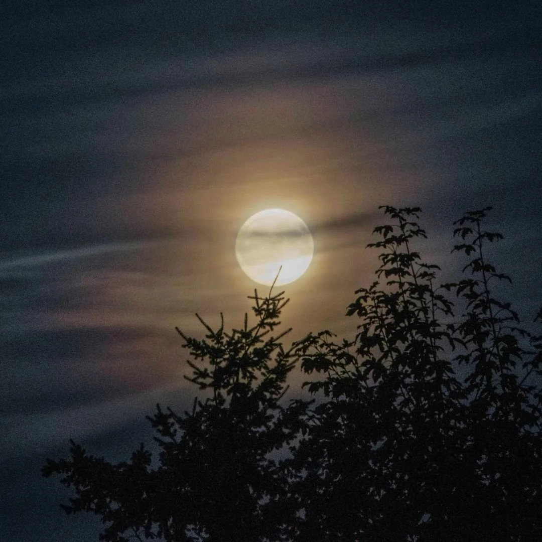 FULL MOON CIRCLE - Wednesday 8th October @ 7pm

Learn how to use the Full Moon energy to reclaim your own power, by keeping hold of what serves you and shedding what doesn&rsquo;t.

All full moons offer an opportunity for release and bring with them 