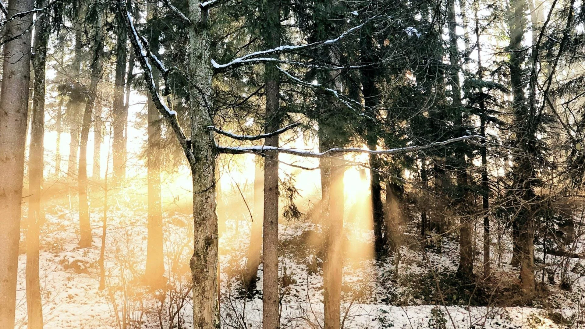 Winter Solstice Retreat at KINGDOM