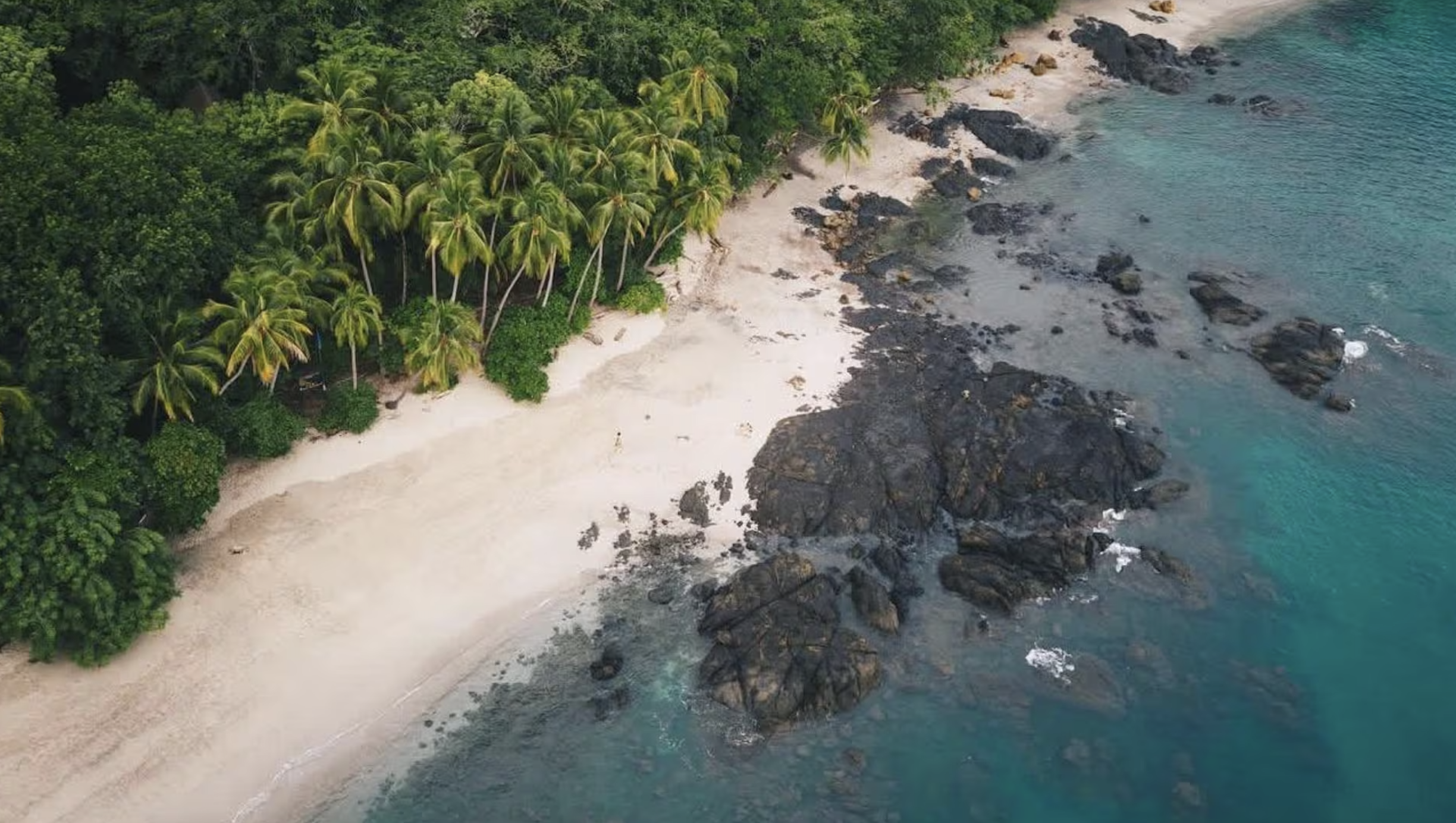 Screenshot 2026-04-03 at 16.09.02.png