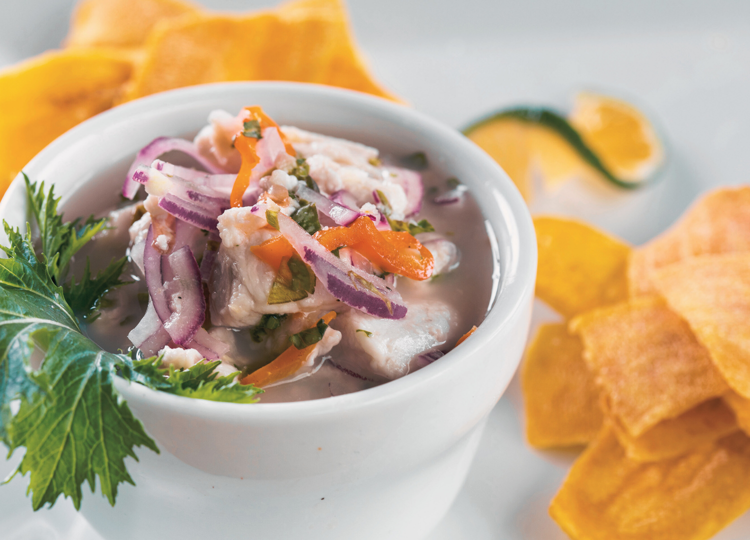 costa rica - food (12).png