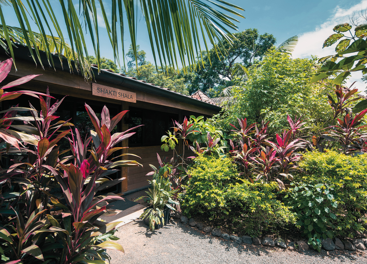 costa rica - yoga (11).png