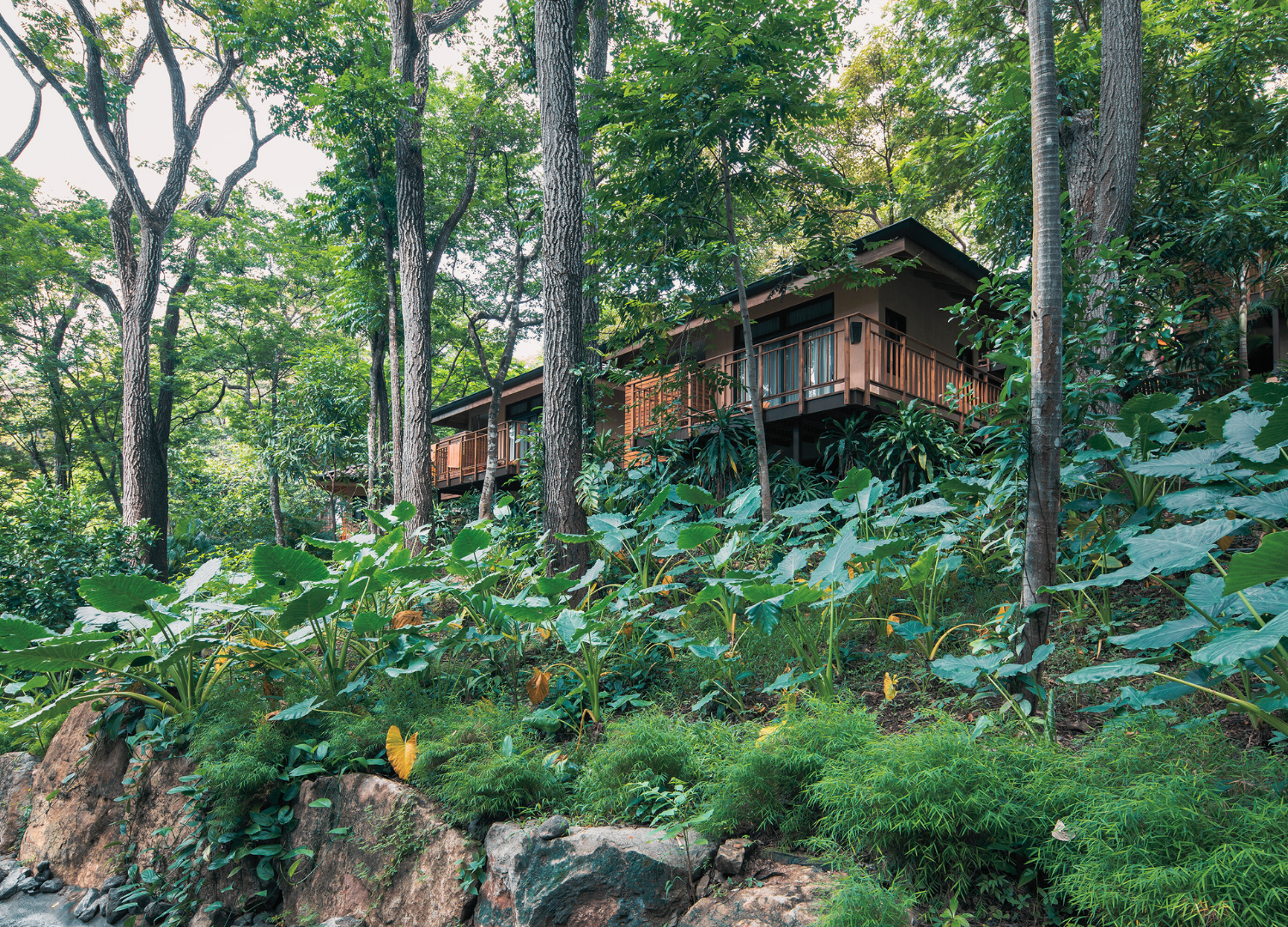 costa rica - venue (12).png