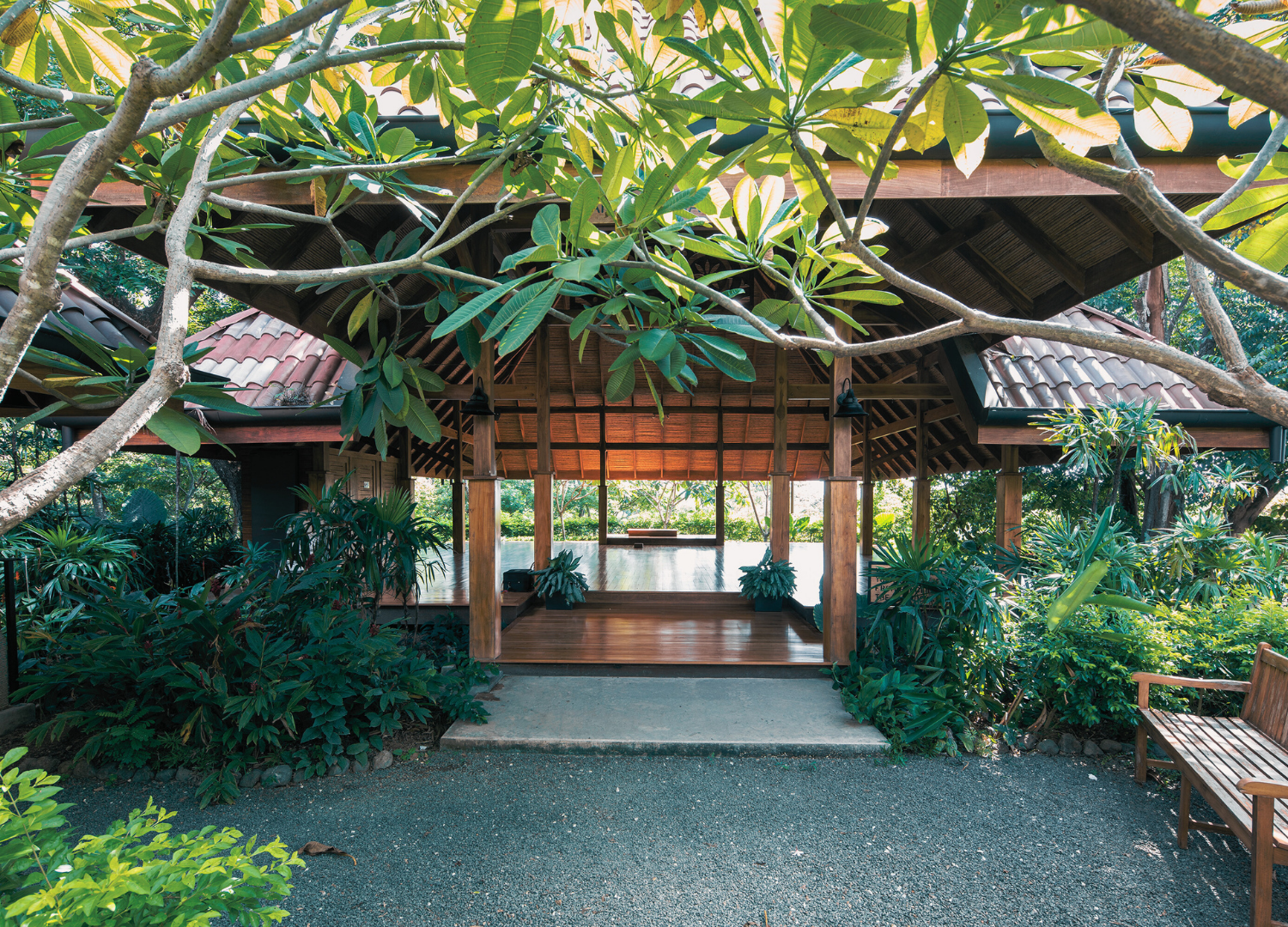 costa rica - yoga (3).png