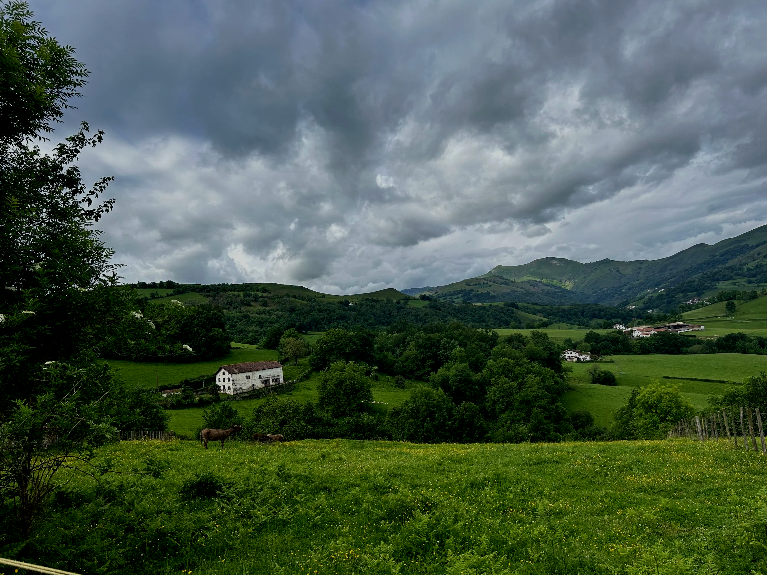 Camino de Santiago Women’s Pilgrimage Retreat