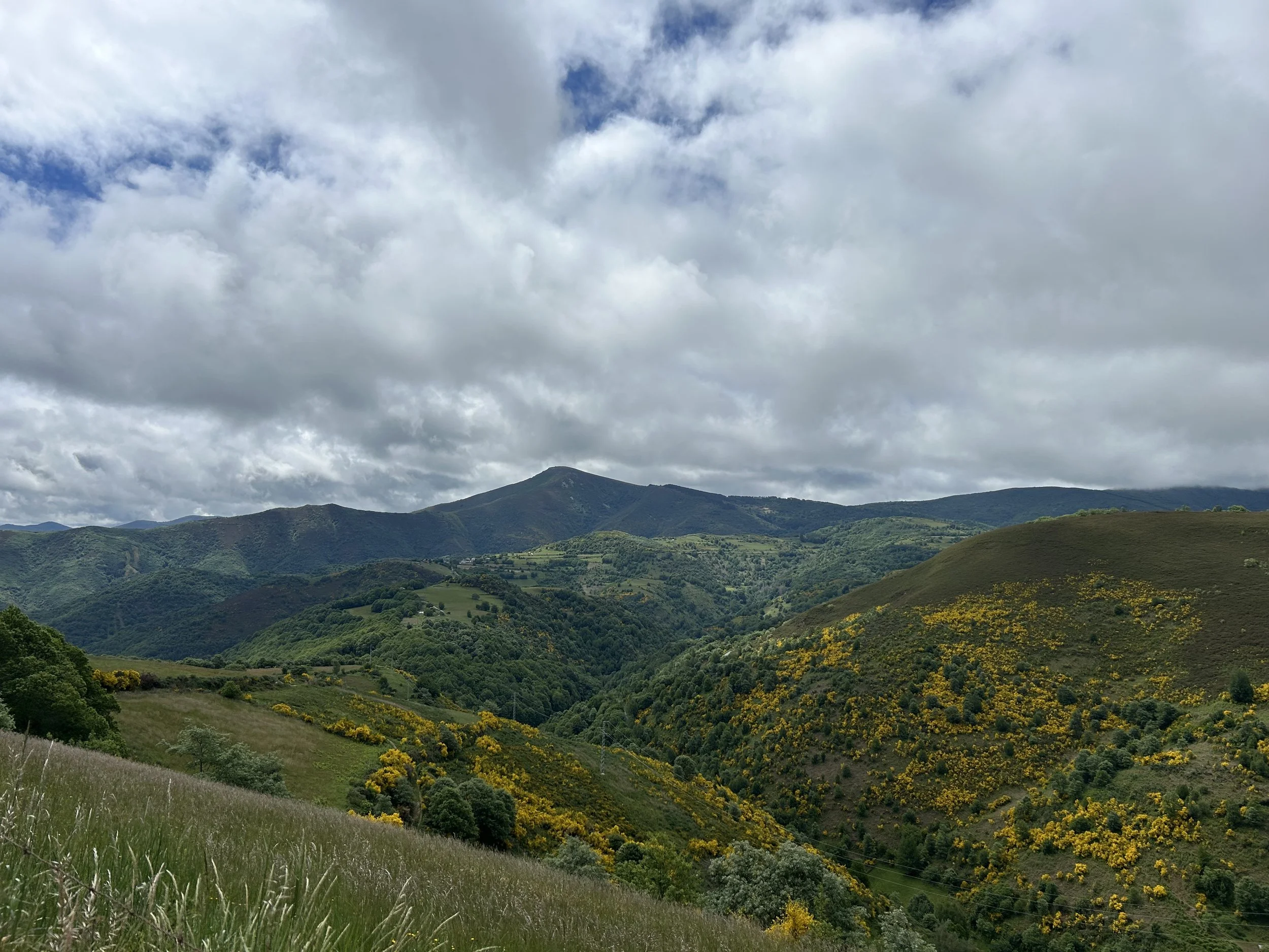 IMG_3098.jpeg