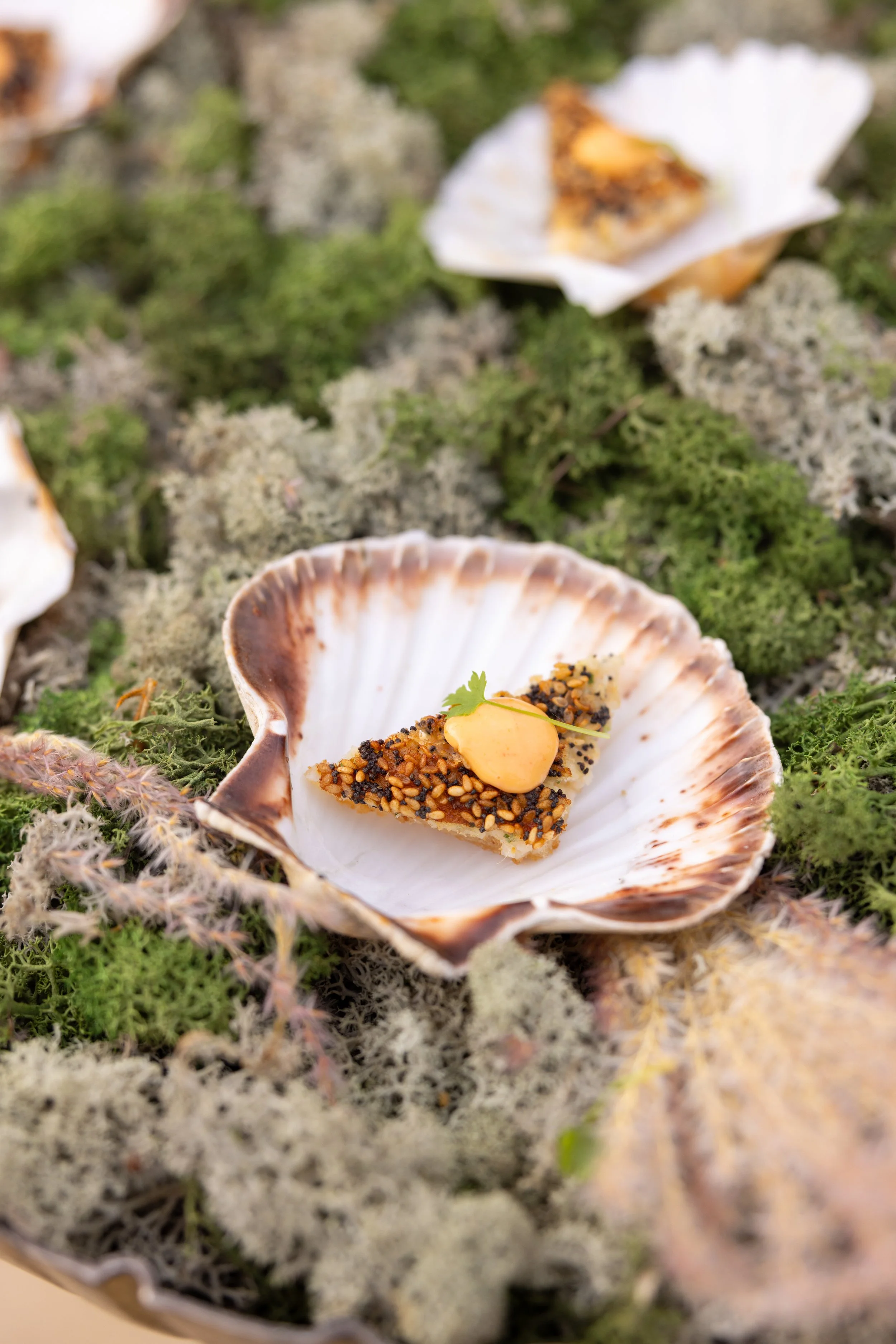 W6314-743 - SRGB- srgb.jpg