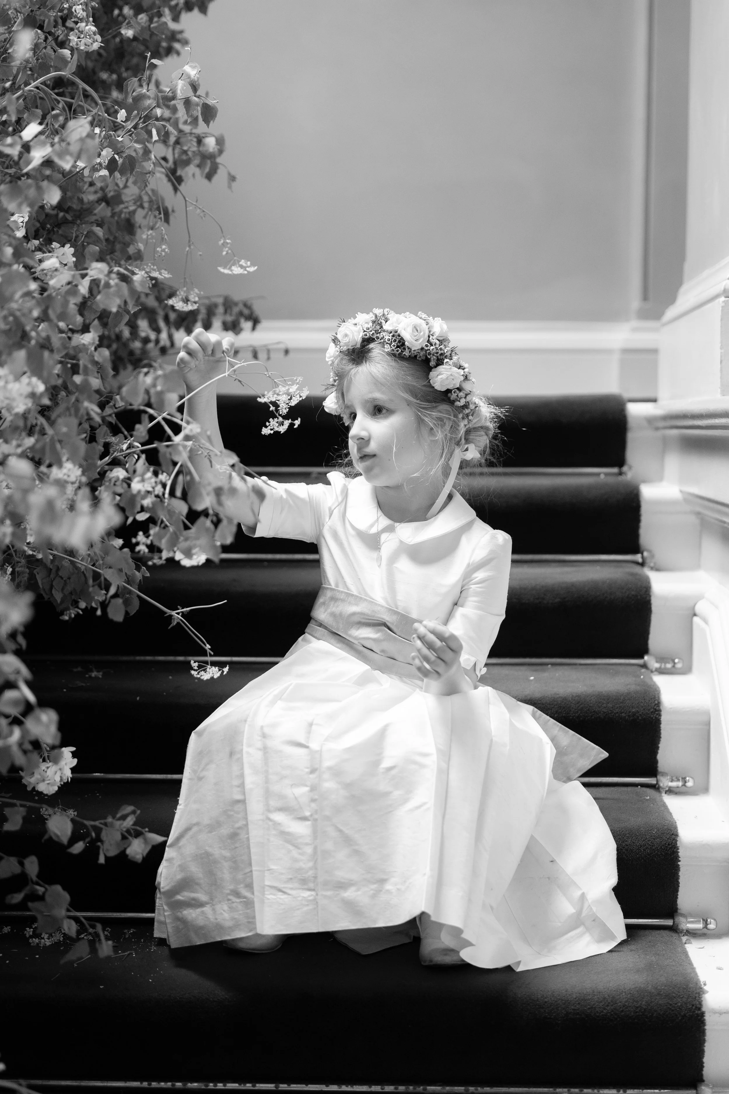 B3569-499-2-2- srgb.jpg