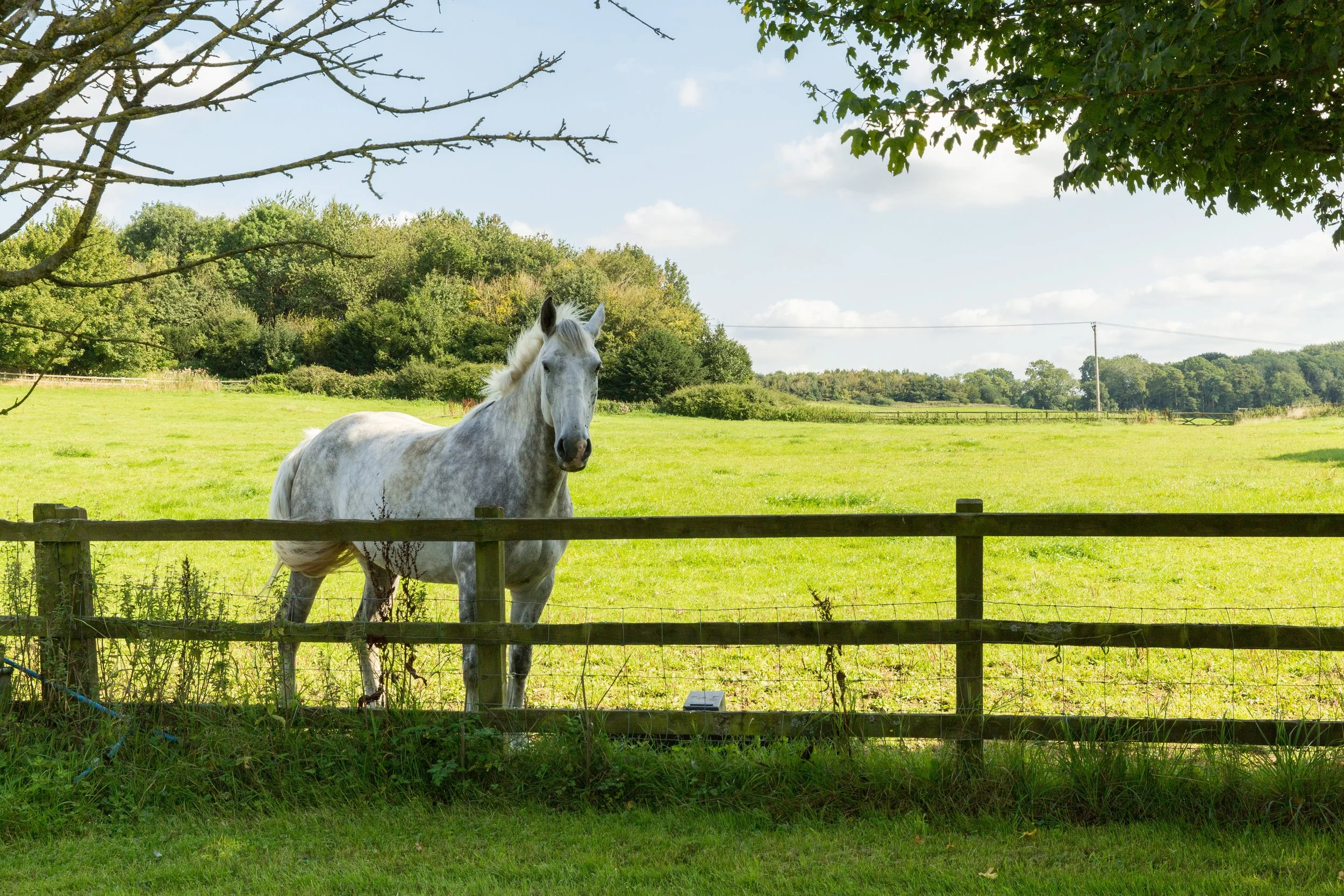 KF2060 - 128- srgb.jpg