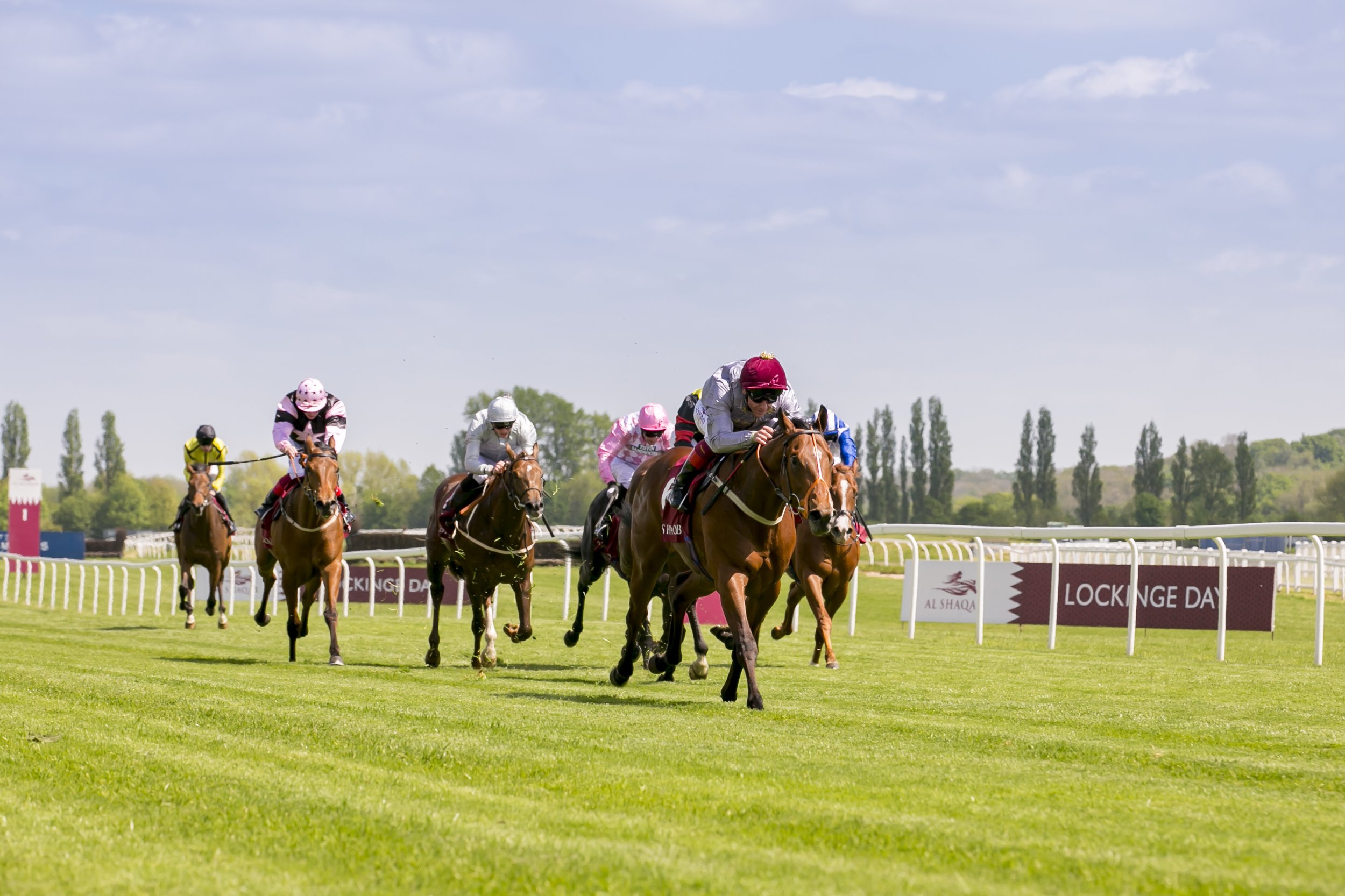 Horse race on a green turf with jockeys in colorful silks, leading in front of a cloudy sky and distant trees.